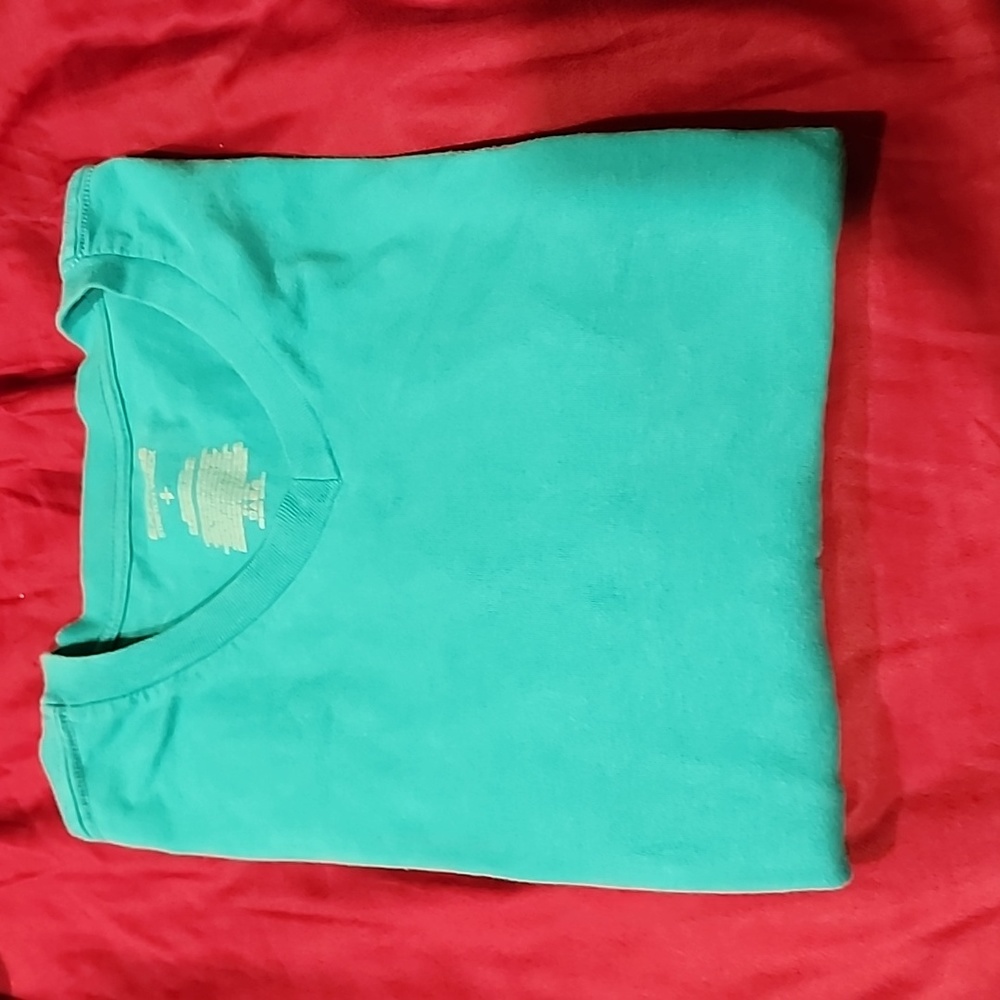 Express v neck fitted tee shirt